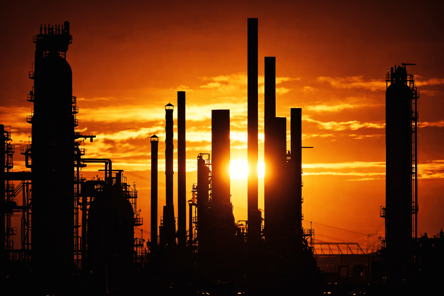 Process Reviews & Capacity Studies